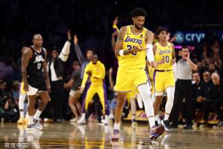 慧的象征 慧的象征